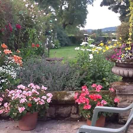 Swan Cottage Coxwold Esterno foto